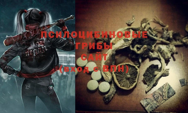 ALPHA PVP Куйбышев