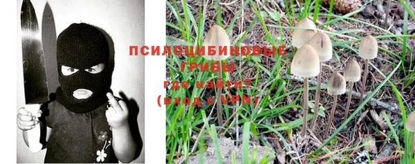 2c-b Красноперекопск