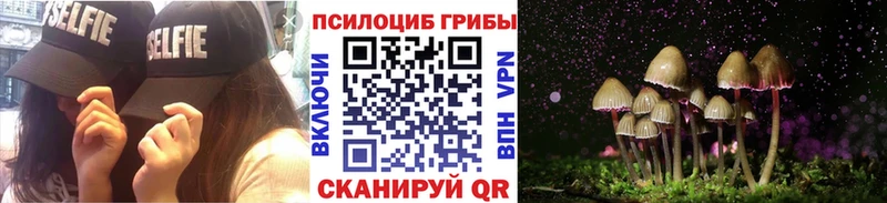 Псилоцибиновые грибы GOLDEN TEACHER  Купить  Одинцово 